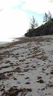 Vertical Video Empty Beach on Zanzibar Island Tanzania