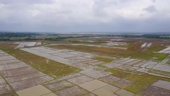 Agricultural Fields on the Island of Luzon