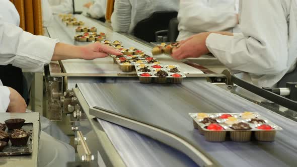 Making Bonbons chocolate candy in a bakery factory