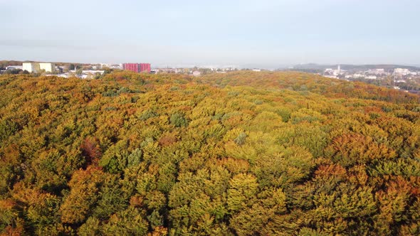 Aerial View on Autumn Park in European City