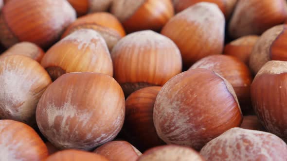 Hazelnut Abstract Background. Rotate