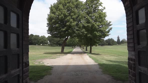 Revealing a trail lined by trees