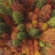 Autumn Colors - VideoHive Item for Sale