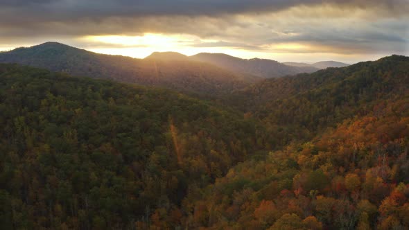 Pisgah National Forest