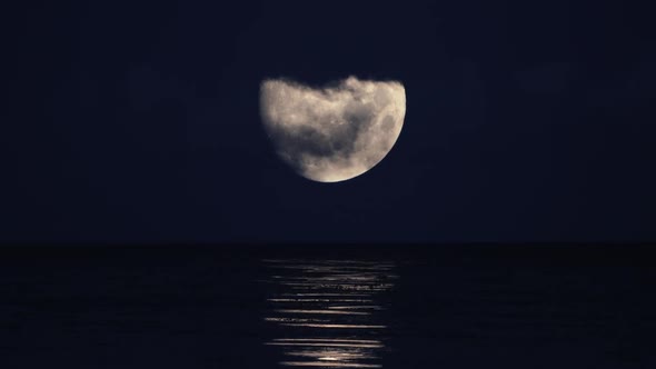 Ocean Moonlight