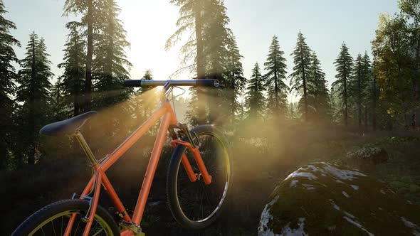 Bicycle in Mountain Forest alt