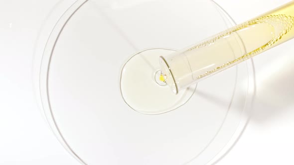 Transparent Yellow Fluid Oil From a Test Tube is Poured Into Petri Dishes