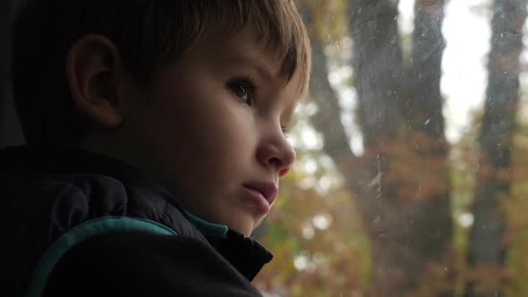 Young Tourist Travels By Train. Caucasian Boy with Brown Eyes Looking on the Trees Growing on