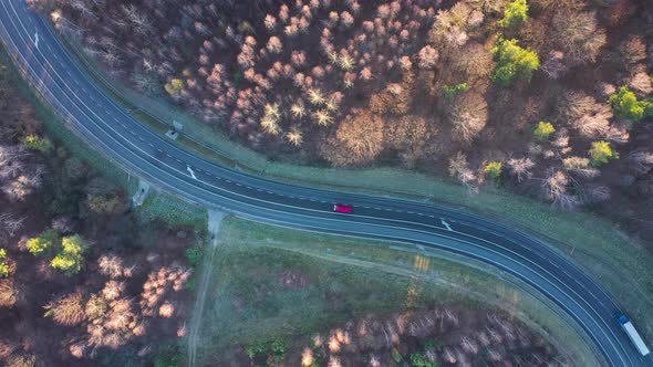 View From the Height of the Traffic on the Road Surrounded By Autumn Forest