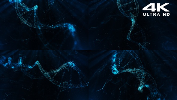 DNA Particles