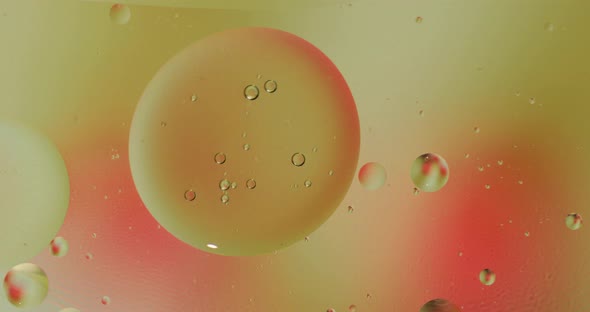 Fantastic Structure of Colorful Bubbles. Chaotic Motion. Abstract Background