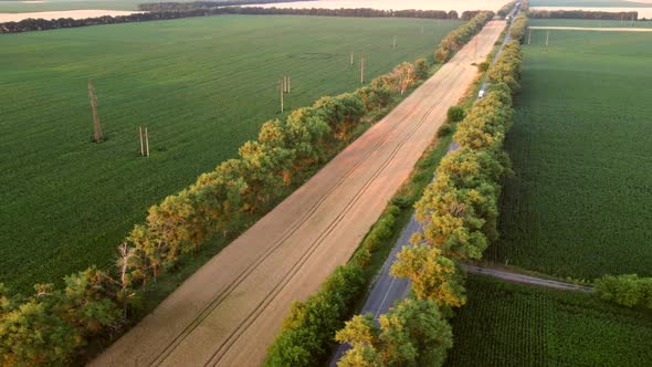 Drone Flying Over Road Between Green Agricultural Fields During Dawn Sunset