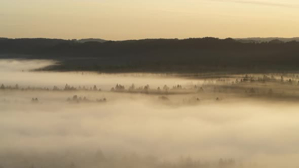 Aerial view of fog in the forest, Pupplinger Au, Germany