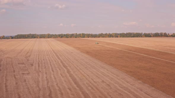 The Combine Harvests Corn on