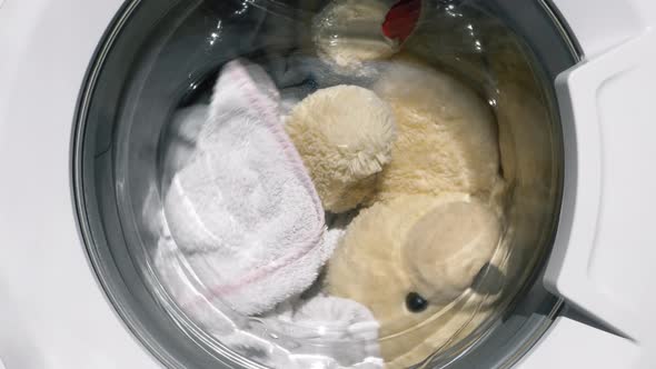 Teddy Bear in the Washing Machine