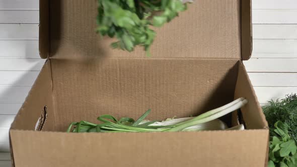 Person in Gloves Fills Cardboard Box with Greenery Bunches