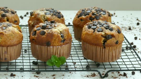 Sweet dessert with muffin chocolate