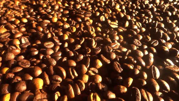 Coffee Grains