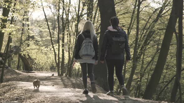 Back View of Two Young Women Walking with Small Dog Along Forest Alley. Caucasian Millennial Girls