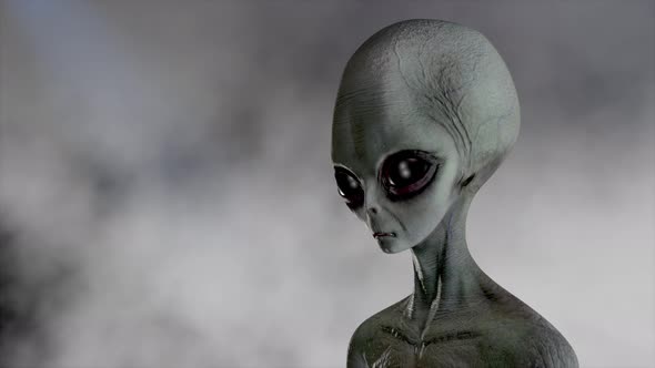Scary Gray Alien Stands and Looks Blinking on a Dark Smoky Background alt