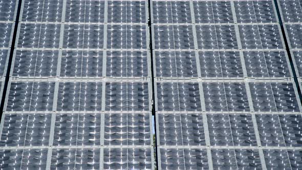 Solar Farm