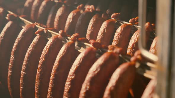 Production of Sausages and Smoked Meat in the Meat Industry