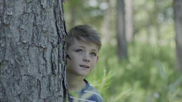 Boy peeking around tree trunk, looking up in awe