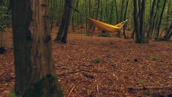 Smooth fast zoom into a girl laying in a hammock in the woods