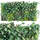 Vertical garden 11 - 3DOcean Item for Sale