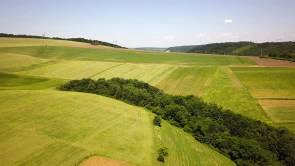 Aerial view of green agriculture fields in spring with fresh vegetation after seeding season.