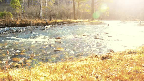 Dolly Slider Shot of the Splashing Water in a Mountain River Near Forest. Wet Rocks and Sun Rays