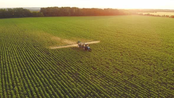 Aerial View of Farming Tractor Spraying on Field with Sprayer Herbicides and Pesticides at Sunset