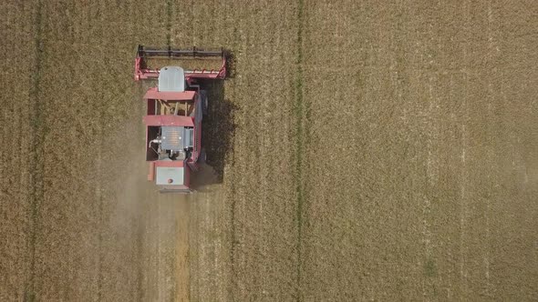 Combine Harvester on Wheat Field