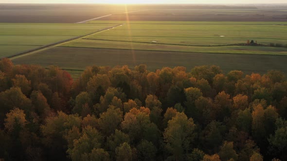 Flying Over Forest and Field