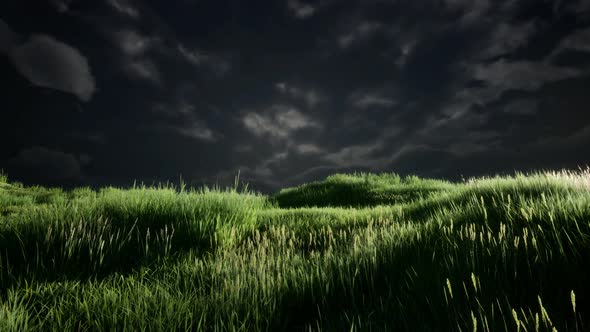 Storm Clouds Above Meadow with Green Grass