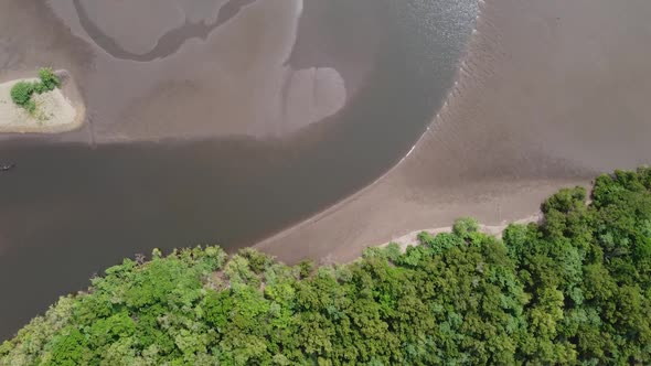 Low Tide Sand River along Green Wetlands