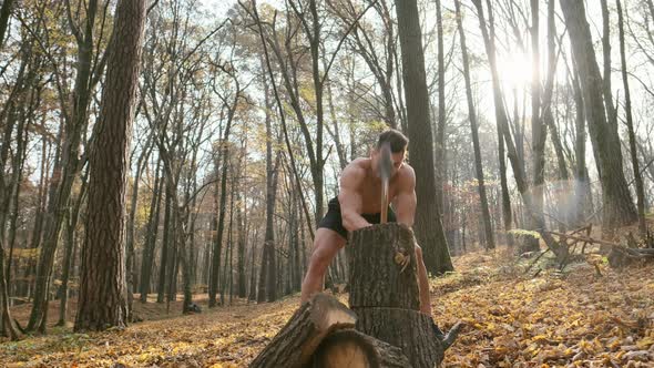 Strong Guy With Naked Torso Cuts Firewood With An Ax In The Forest