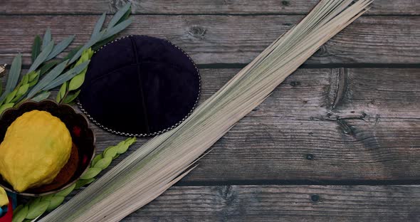 Jewish Holiday of Symbols of the Festival Sukkot with Palm Leaves