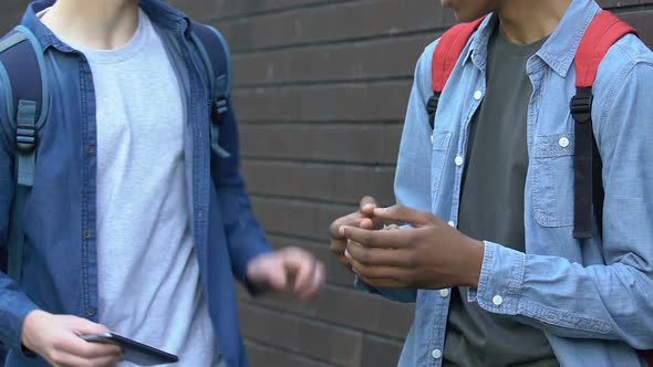 Aggressive Caucasian Teenager Grabbing Afro-American Classmates Phone, Problems
