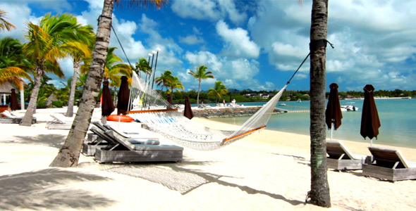 Tropical Landscape alt