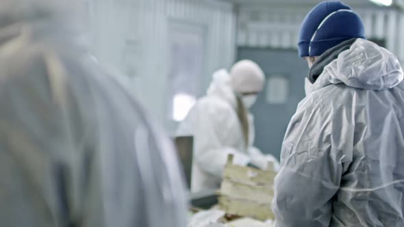 Workers of Garbage Recycling Factory Sorting Waste