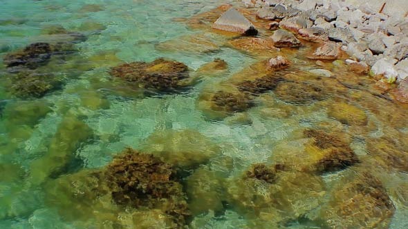 Clear Water on the Shore