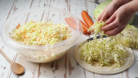 Preparation of Chopped Cabbage for Fermentation