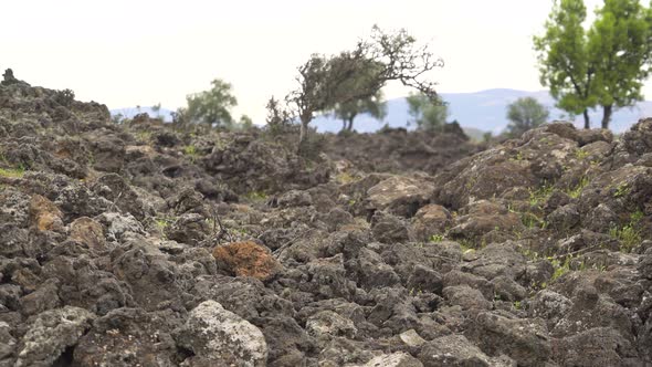 Basalt Rocks