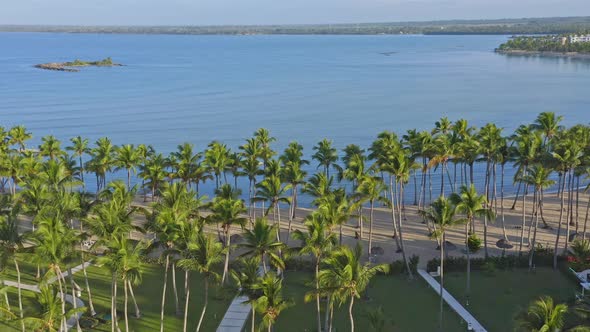 Exotic garden of La Ensenada resort at Playa Nueva Romana, Dominican Republic. Aerial forward