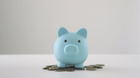 Hand Putting Coins Into Piggy Bank