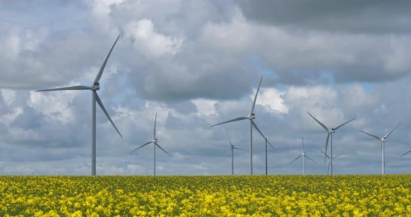 Field of rapeseed (Brassica napus)and wind turbines  in Brittany, France