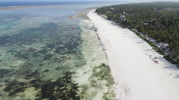 Zanzibar Tanzania  Aerial View of Low Tide in the Ocean Near the Coast