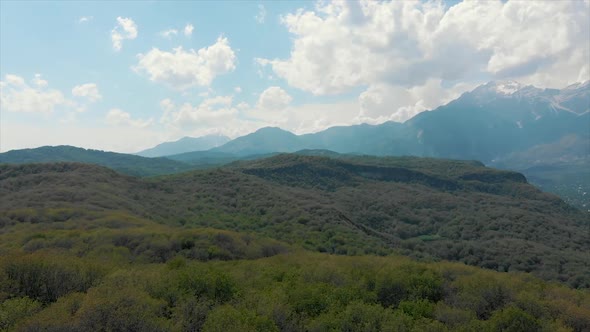 Arial Shoot Wild Walnut Forest in Jalal-abad Province Kyrgyzstan