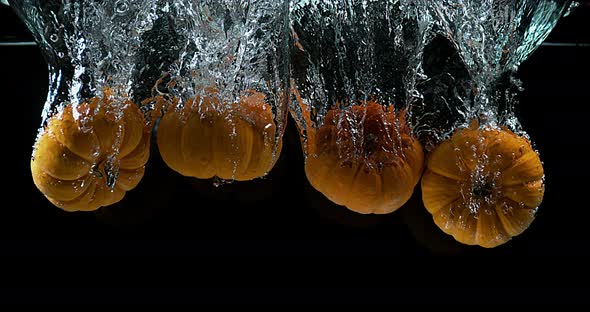 Dwarf Pumpkin, cucurbita pepo, Fruit Falling into Water against Black Background, Slow Motion 4K